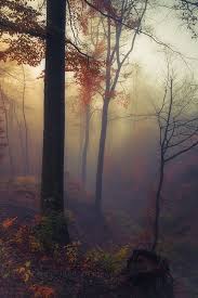 November Fog By Dirk Wustenhagen 500px Landscape Nature Nature Photography