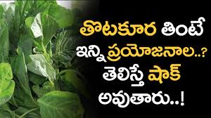 Learn how to make lal math recipe (amaranth leaves) by *tasty food point * this red leafy vegetablel lai math bhaji recipe is. Thotakura Health Benefits In Telugu Health Benefits Of Amaranth Leaf Andhra Recipes Mana Telugu Youtube