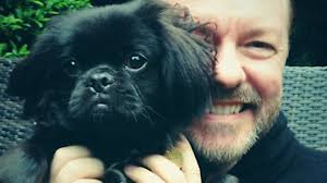 East Finchley dog charity praises 'king of comedy' Ricky Gervais after  £1,000 donation