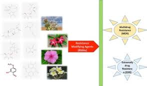 According to google safe browsing analytics, flowersmillveterinaryhospital.com is quite a safe domain with no visitor reviews. A Review On Antimicrobial Botanicals Phytochemicals And Natural Resistance Modifying Agents From Apocynaceae Family Possible Therapeutic Approaches Against Multidrug Resistance In Pathogenic Microorganisms Sciencedirect