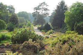 See more of botanischer garten und botanisches museum berlin on facebook. Botanischer Garten Bremen Gartenrot Blog