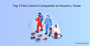 Arrow termite & pest control provides termite protection services and an array of pest control services in houston and the surrounding areas. Consumera We Recommend You Decide Top Reviews