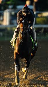 Can Golden Tempo break the post no. 17 curse? 🐎 #kyderby #kentuckyderby  #sportsbusiness #horseracing #churchilldowns