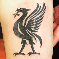 Here we try to give you some liverpool fc tattoos ideas by showing you different liverpool football design ideas tattoos. Liverpool Fc Tattoos Ideas Designs Images Sleeve 2020