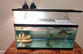11 options for your turtle habitat. How To Make An Above Tank Basking Area For Turtles