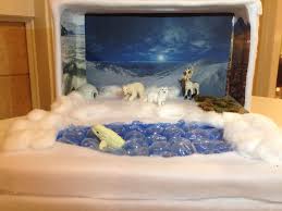 Tundra Biome In A Box Project Tundra Diorama Diorama Kids Ecosystems Projects Biomes Project