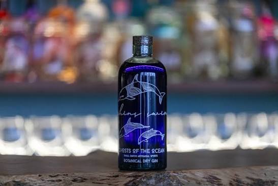 Gin Dolphins 1L