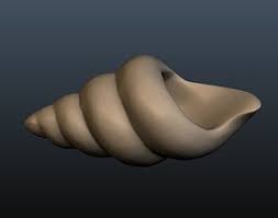 ❥ these two beautiful seafoam green seashells were slipped into the pocket of your character. Conch Shell 3d Models Cgtrader