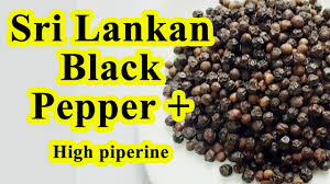 We did not find results for: Sri Lankan Black Pepper Organic Non Organic Where To Buy Best Peppercorns Youtube