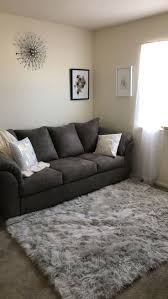 First Apartment Decor Ideas Apartment Decorating Living First Apartment Decorating Living Room Decor Apartment