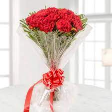 Order Send Red Carnations Online Delivery In India Cake2homes Flower Delivery Online Flower Delivery Flowers Delivered