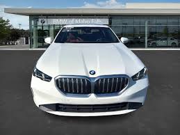 Image result for Alpine White 2024 i5