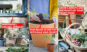 Maybe you would like to learn more about one of these? How To Grow Your Own Vegetables On Your Balcony And When To Plant What Daily Mail Online