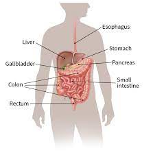 Learn why screening for colon cancer is important. Colorectal Cancer Central Care Cancer Center
