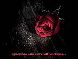 Truth Red Roses Wallpaper Beautiful Red Roses Images Rose Flower Wallpaper