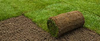Dionne did a fantastic job on my lawn! Wesley Chapel Lawn Care Services First Choice Lawn Care