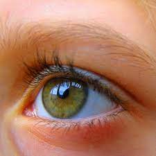 Riverside Family Eye Care Home Facebook