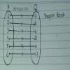 Diagram panah di bawah ini yang merupakan fungsi dari himpunan p ke himpunan q adalah …. Diketahui P 1 2 3 4 5 6 Dan Q 2 4 6 8 10 12 Jika Dari P Ke Q Dihubungkan Relasasi Brainly Co Id