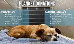 Check spelling or type a new query. Our Wishlist Sacramento Spca