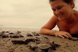 Sea Turtle Research Assistant in Costa Rica
