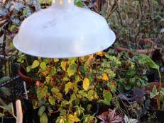It is designed to generate less heat compared to other lamps and this helps to conserve energy. Plant Grow Lights How To Choose The Best Indoor Lighting For Plants Hgtv