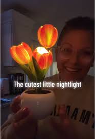 The Cutest Tulip Nightlight for Your Home Decor