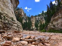 Took A Stroll In Dixie National Forest This Afternoon With Images Camping Locations Near Me Camping And Hiking National Forest