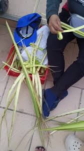 The Symbolism of Palm Frond (Omu) in Igbo Spirituality: ... || Nnewi City
