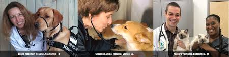 Companion animal hospital in ithaca, ny for cats, dogs, exotics, and wildlife. Ivpa Independent Veterinary Practitioners Association