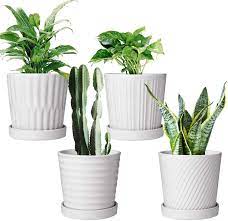 Indoor outdoor mini polystone scallop design pot w/unattached saucer. Amazon Com Flower Pots 6 Inch Succulent Pots With Drinage Indoor Round Planter Pots With Saucer White Cactus Planters With Hole Outdoor Graden Pots 4 Pack Kitchen Dining