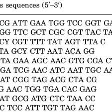 Image result for Sabicea bequaertii
