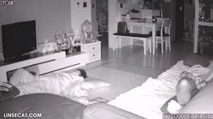 Hacked home IP camera: 4 Korean women masturbating. A beautiful woman  masturbates while asleep. Is she having a pornographic dream? A Korean  woman and her boyfriend had virtual sex in February 2024 -