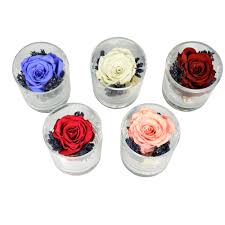 Next day delivery uk nationwide. Timeless Preserved Rose Arrangements In Glass Containers Flowerstalk Of London