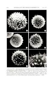 Image result for Oldfieldia