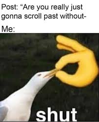 Melonmemes Memes Funny Stupid Memes