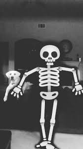 Spooky Scary Skeleton Murphy Skeletonmoves Halloween Fyp