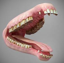 Horse Mouth 3d Model In 2020 Horses 3d Model Model