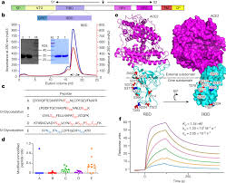 A medical certificate from a registered doctor or medical practitioner may also be required in case of a long period of absence due to sickness. A Vaccine Targeting The Rbd Of The S Protein Of Sars Cov 2 Induces Protective Immunity Nature