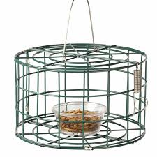 Caged Bird Feeders For Small Birds Uk Mini Bluebird Cage Feeder Caged Bird Feeders Blue Bird Wild Bird Feeders