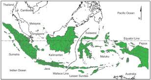 Paparon's pizza & oorja group didukung tvri pusat peduli. Malaria Distribution Prevalence Drug Resistance And Control In Indonesia Abstract Europe Pmc