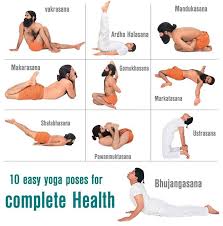 Pranayam And Yoga Asanas Gallery Easy Yoga Poses Beginner Yoga Workout Yoga Poses For Men