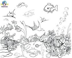 Some videos are cute (penguins!), and some are calming views of sea life. Cartoon Fish Aquarium Drawing For Kids Novocom Top