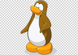 Give the card to flare to make him light up. Club Penguin Elite Penguin Force Panfu Penguin Animals Club Penguin Vertebrate Png Klipartz