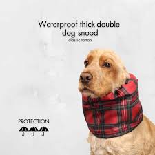 Poodle Ear Protector