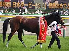 日本ダービー 東京2400芝 5/30 1着 10 シャフリヤール 牡3 57 福永 02:22.5 11.7 2着 1 エフフォーリア 牡3 57 横山武 ハナ 1.7 3着 11 ステラヴェローチェ 牡3 57 吉田隼 1.1/4 40.2 4着 13 グレートマジシャン 牡3 57 戸崎圭 ハナ 11.1 5着 16 サトノレイナス 牝3 55 ルメー ハナ 5.1 ç¬¬86å›žæ±äº¬å„ªé§¿ Wikipedia