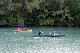 Located only 30 minutes from downtown miami, oleta. Cabins Picture Of Cabins At Oleta River State Park Miami Tripadvisor