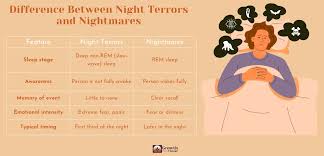 Image result for Night Terror