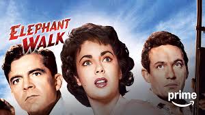 Prime Video: Harlequin: Loving Evangeline