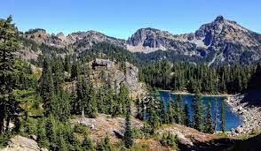 Check spelling or type a new query. Should I Landscape With Trees Native To Washington State Garden Gate Nursery
