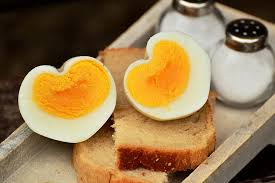 The average egg contains 60 calories and has roughly 6 grams of protein and 4 milligrams of fat. Can Dogs Eat Eggs Can Dogs Eat Fried Eggs Read Complete Information